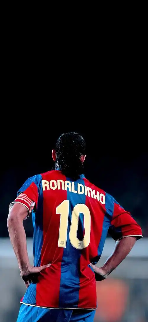 引入高质量 引入高质量