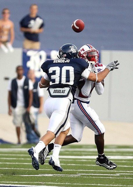 理性评估和 理性评估和